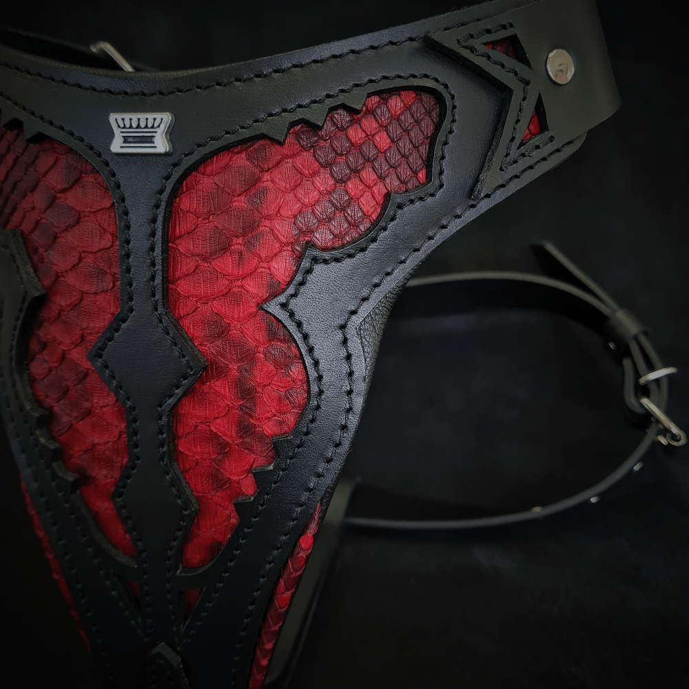 The ''Red Dragon'' harness-2