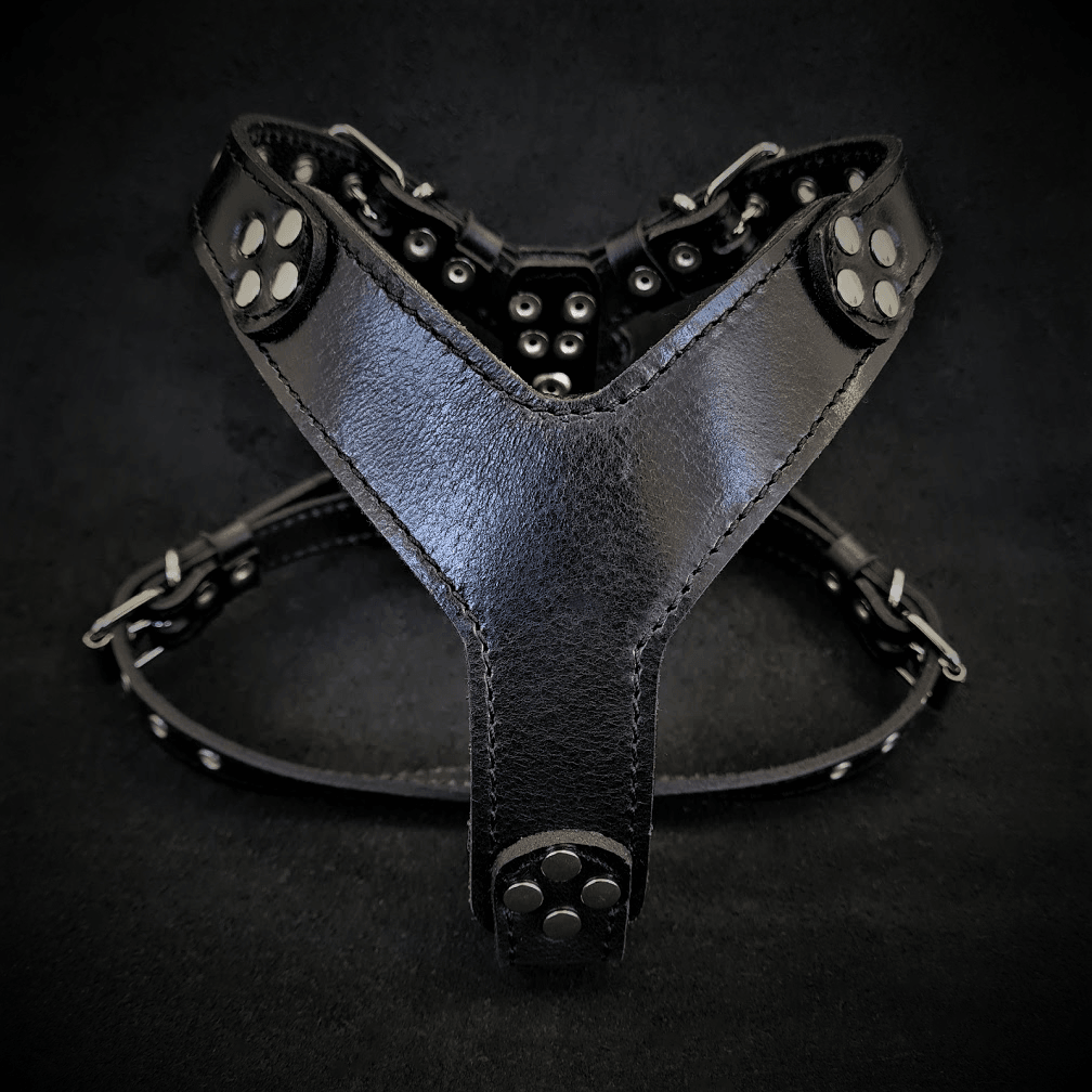 The ''Style'' harness Black Small to Medium Size-0