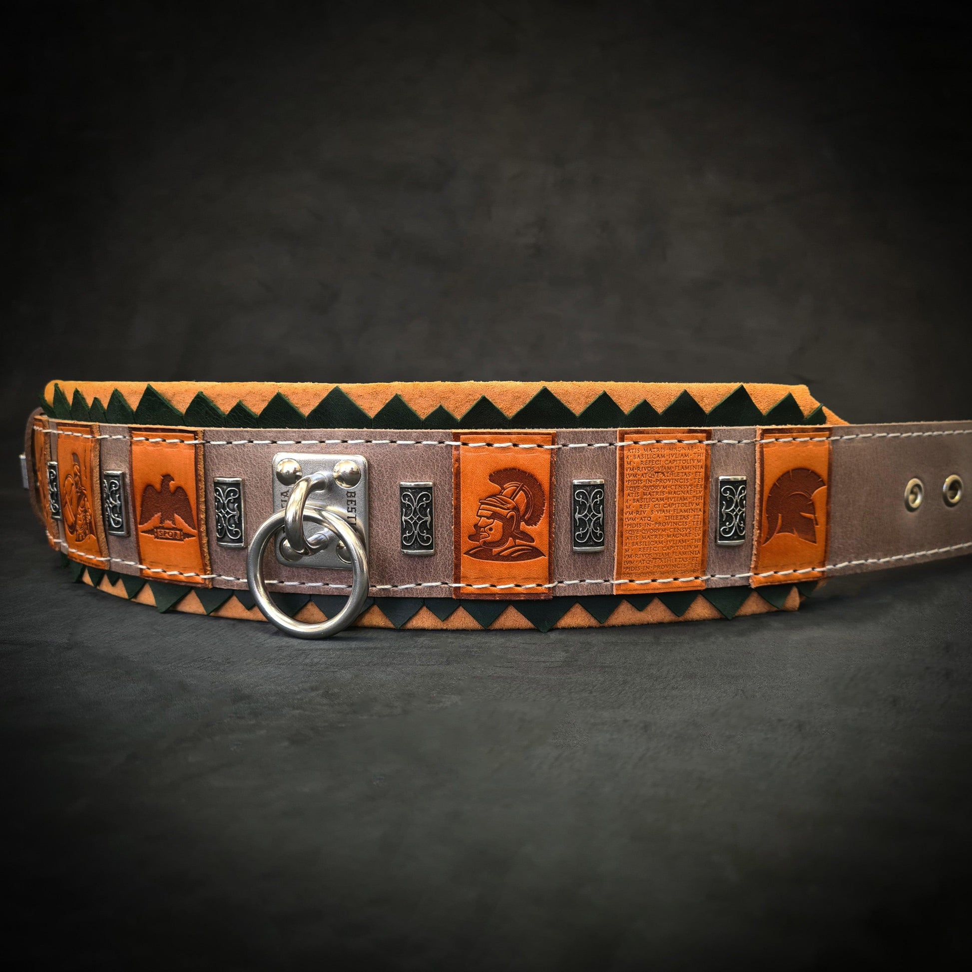 The ''SPQR'' Dog Collar-2