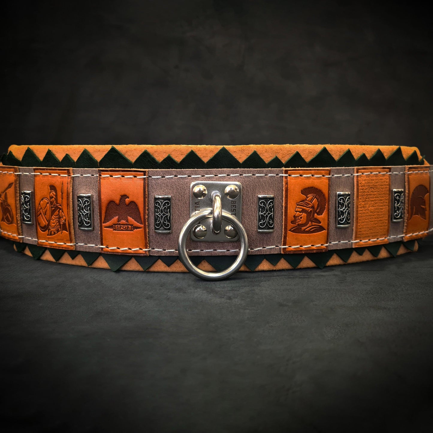 The ''SPQR'' Dog Collar-0