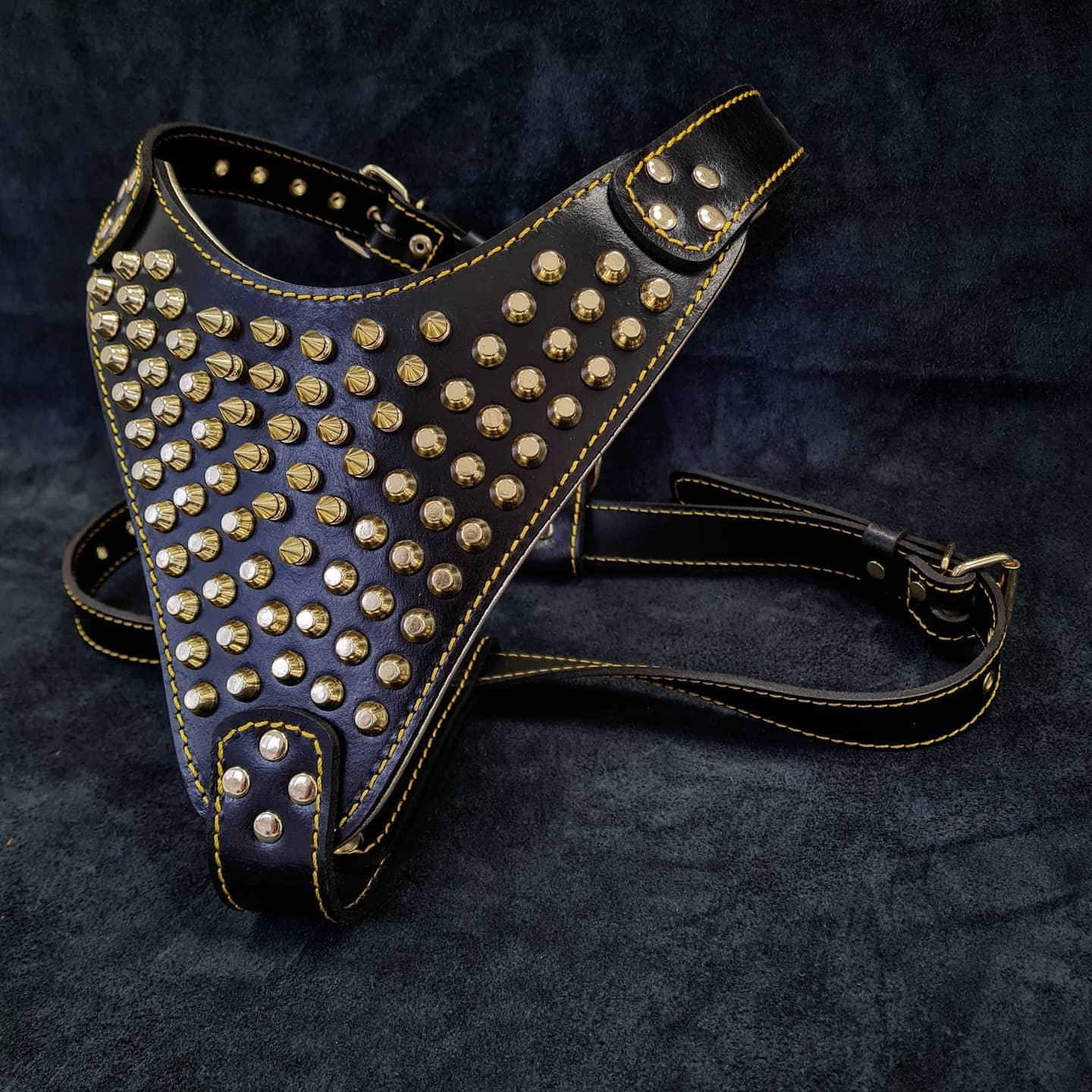 The "Gladiator" harness Gold/Silver-1