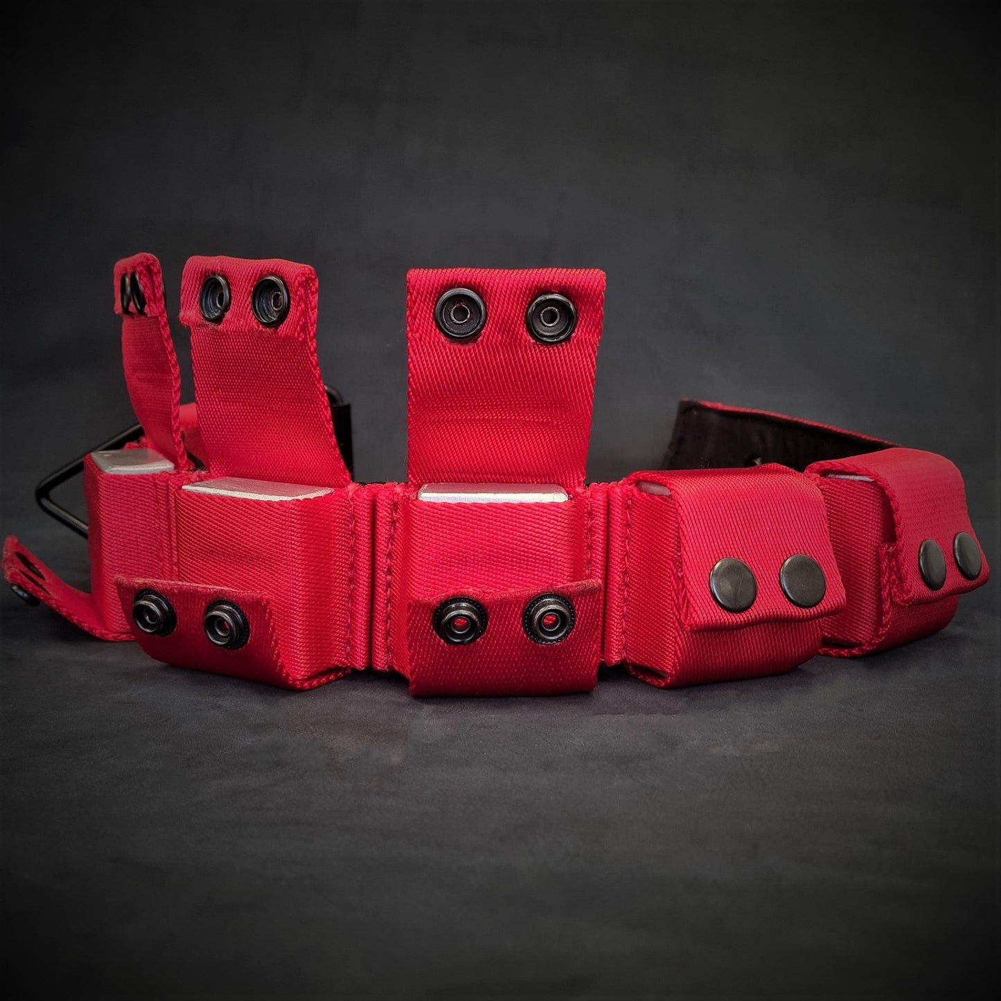 PRE-ORDER Weighted dog training collar- Red. Large breeds. 5 lbs total. removable weights-3