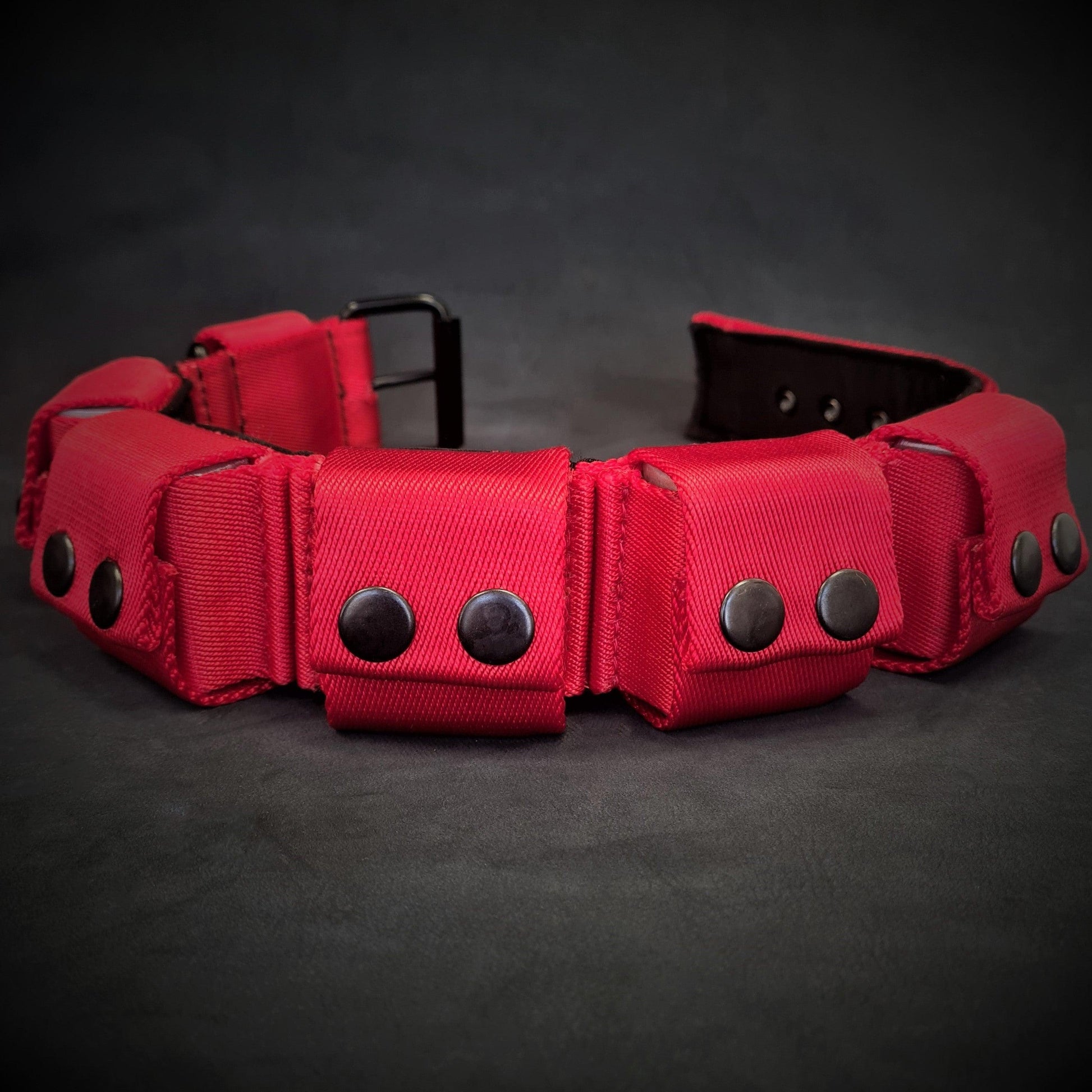 PRE-ORDER Weighted dog training collar- Red. Large breeds. 5 lbs total. removable weights-2