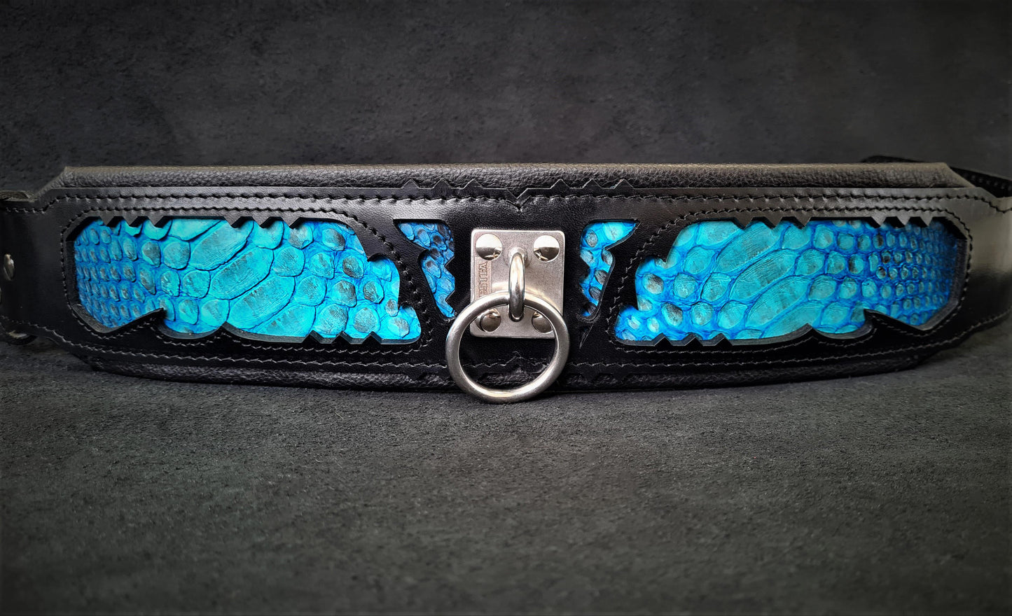 The ''Morelia Python'' collar-3