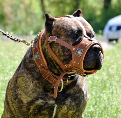 The "Eros" muzzle brown-1