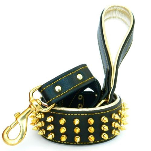 The "Gold Giant" collar-1