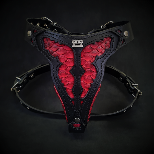 ''Red Dragon'' harness Medium Size-0