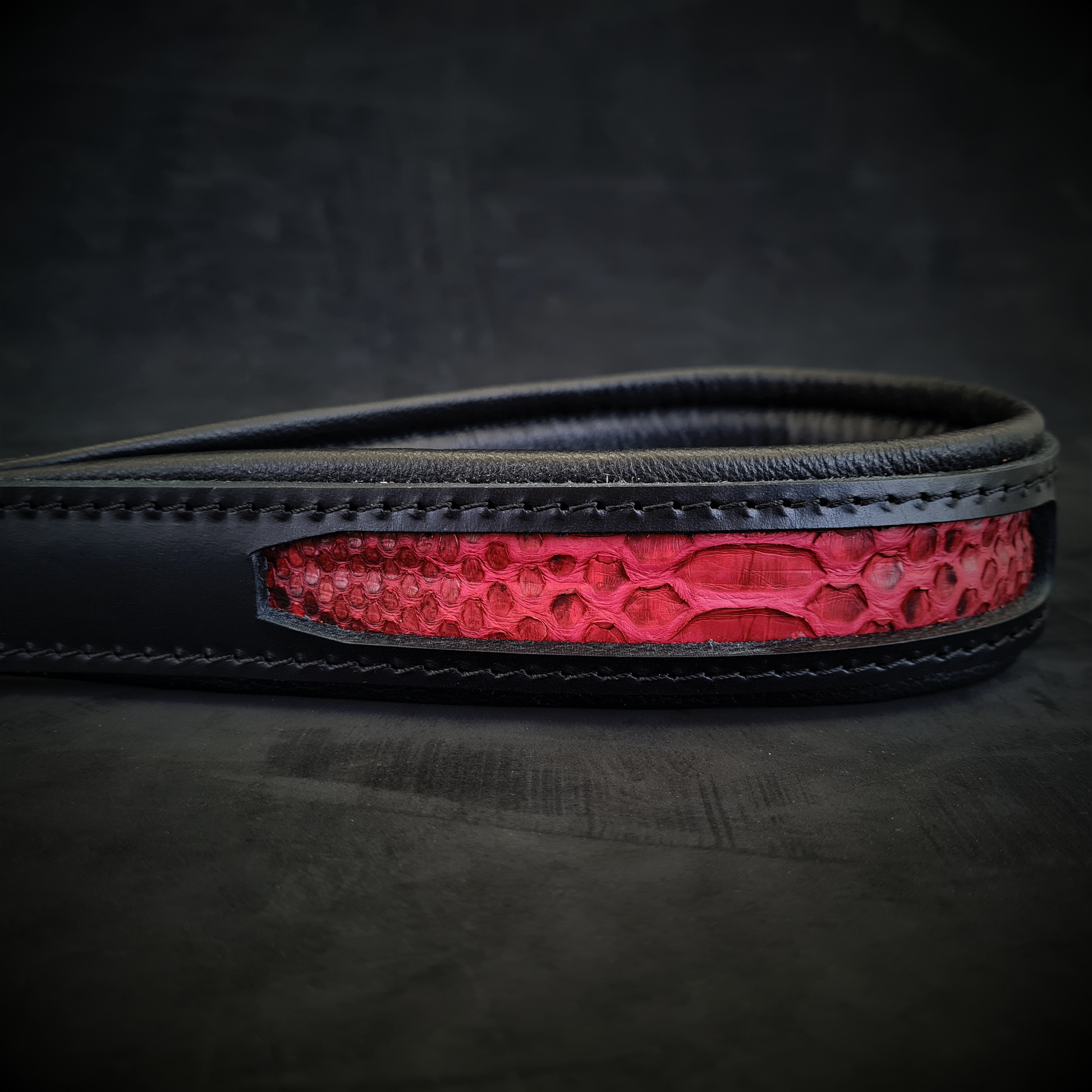 The ''Red Dragon'' leash-4