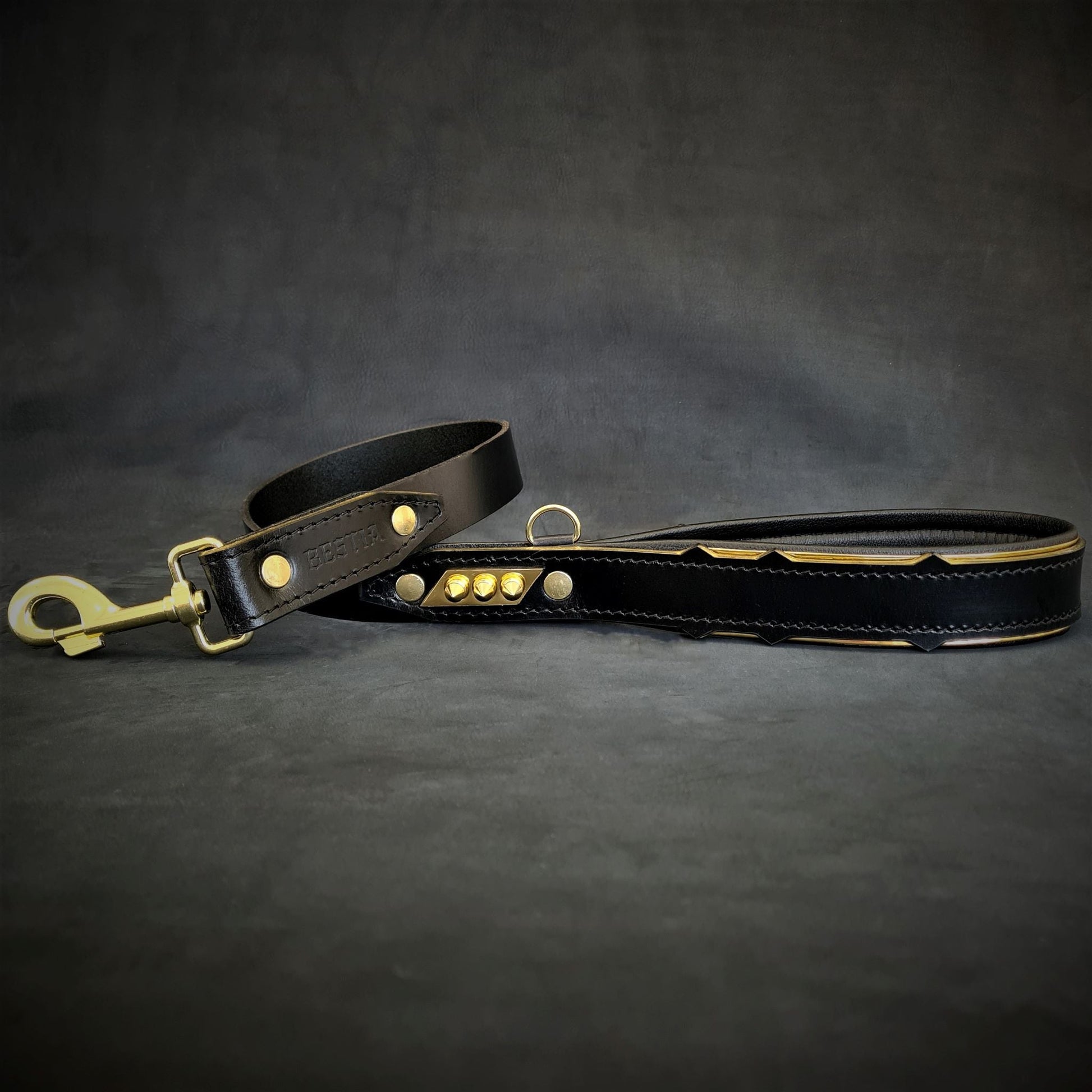 The ''Midas'' leash-1