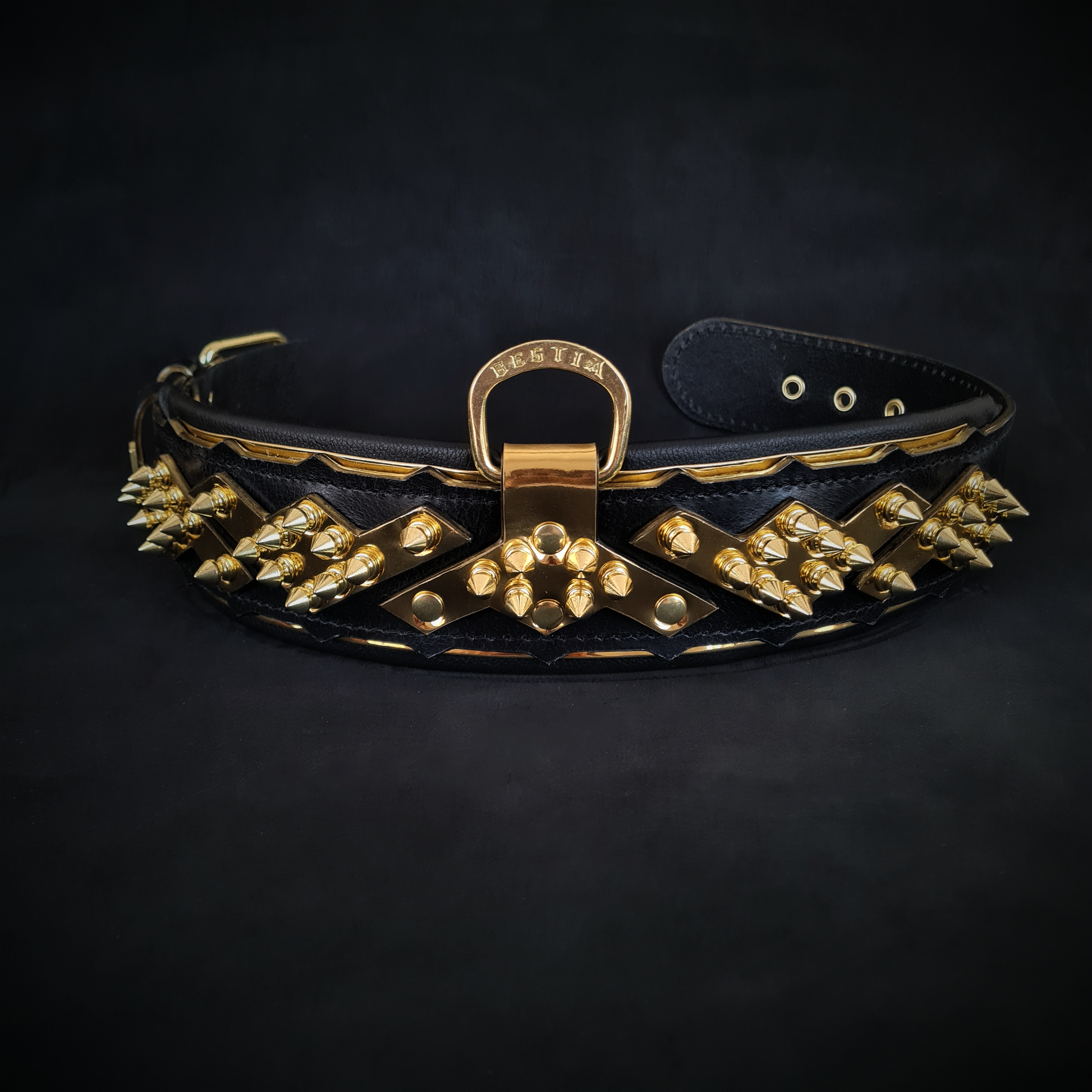 The ''Midas'' Collar Gold-2