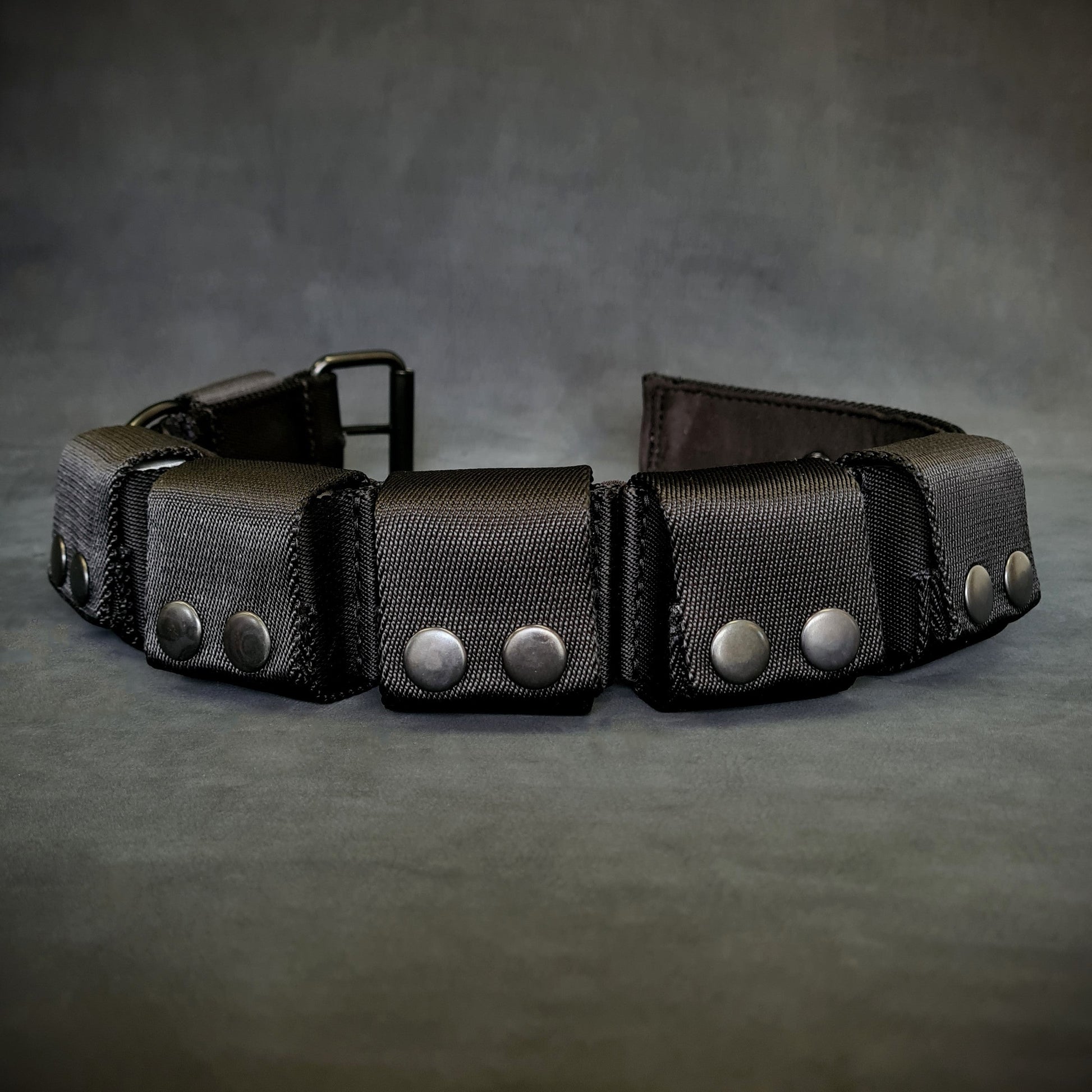 Weighted dog training collar. Large breeds. 5 lbs total. removable weights-1