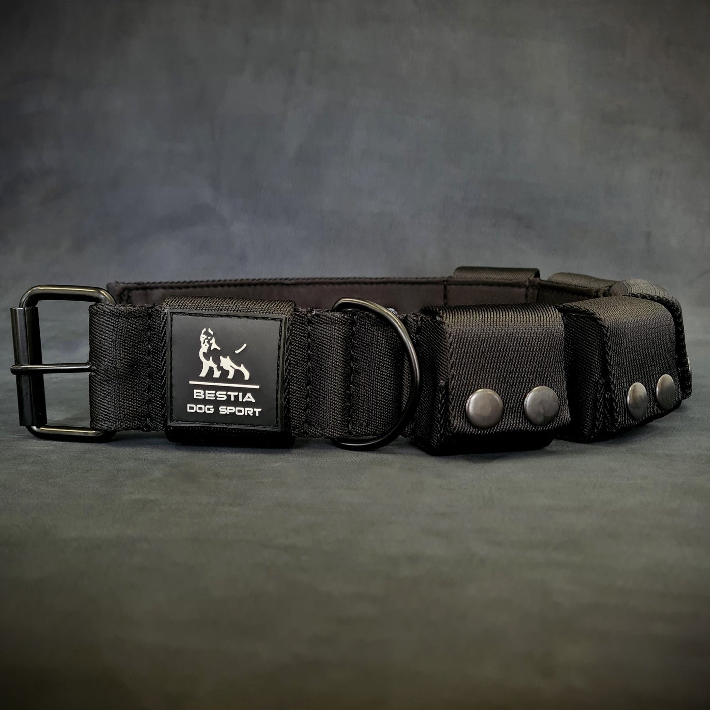 Weighted dog training collar. Large breeds. 5 lbs total. removable weights-0