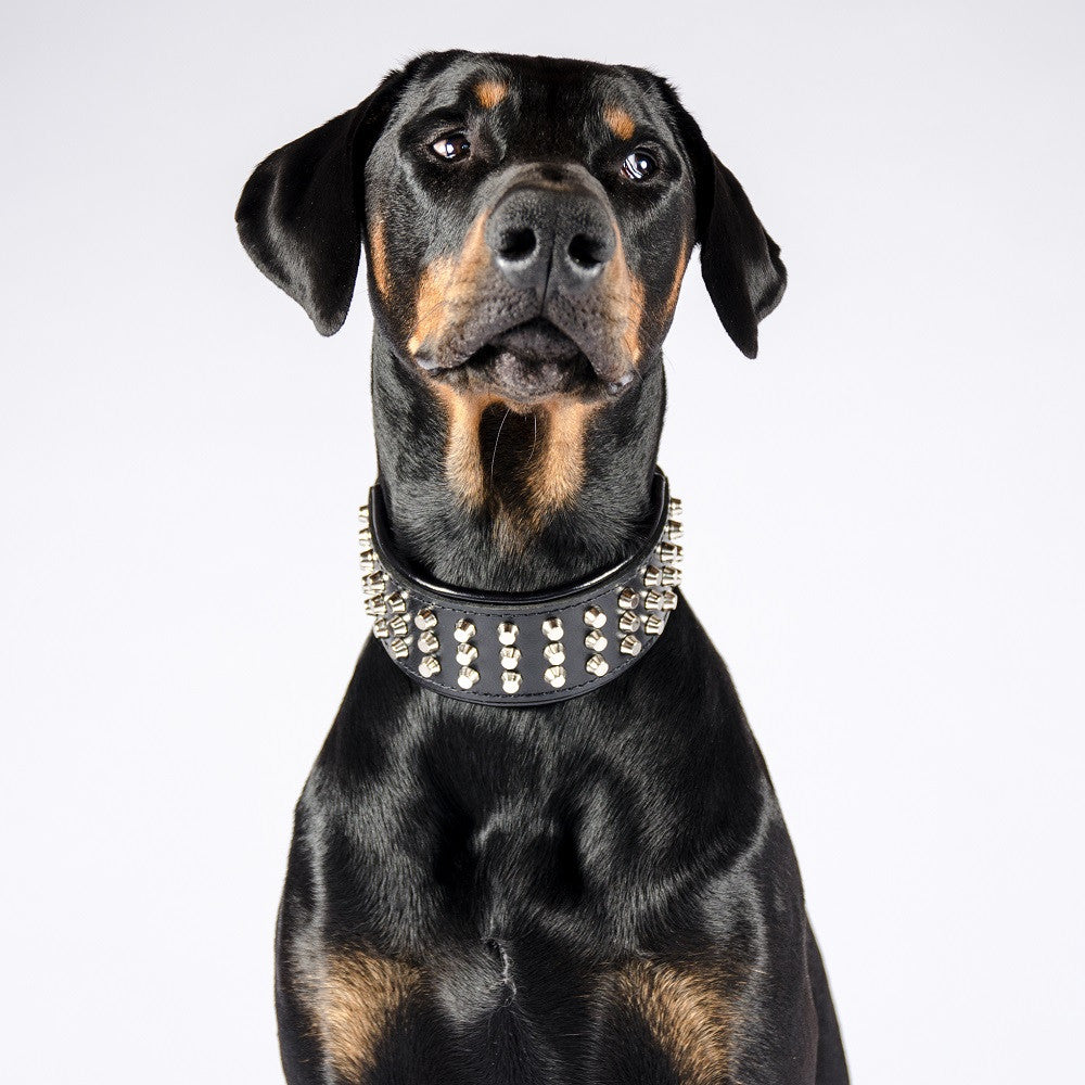 The "Stud" dog collar-1