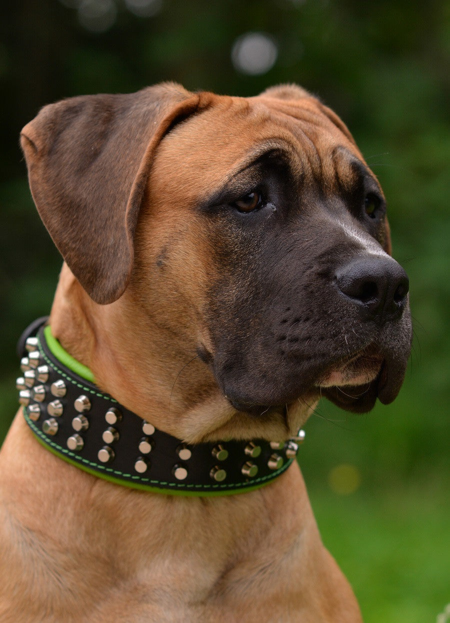 The "Stud" dog collar-6