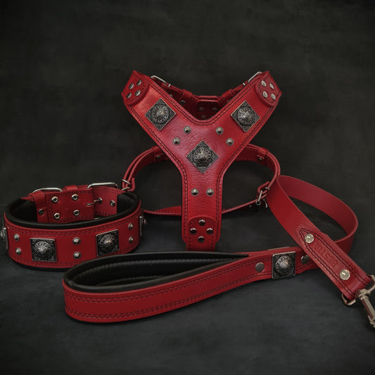 "EROS" BIG dog SET- Harness - collar - lead. Red-0