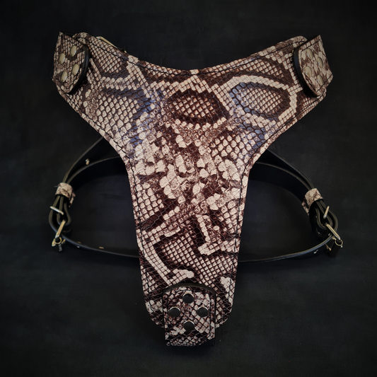 The ''Rock Python'' harness-0