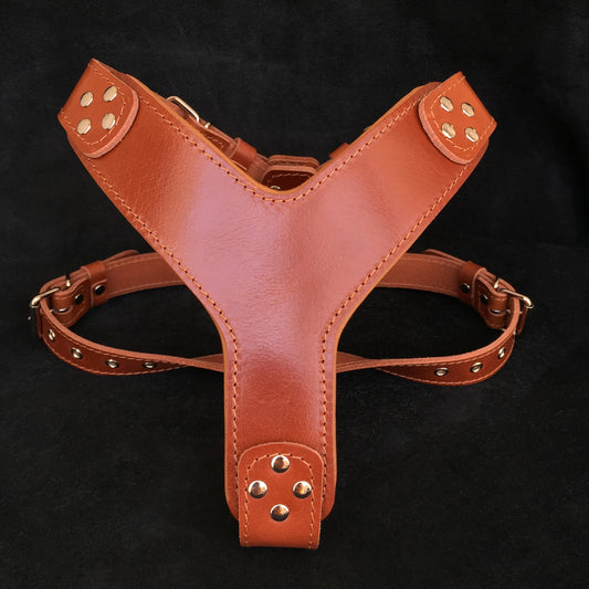 The ''Style'' harness Brown-0