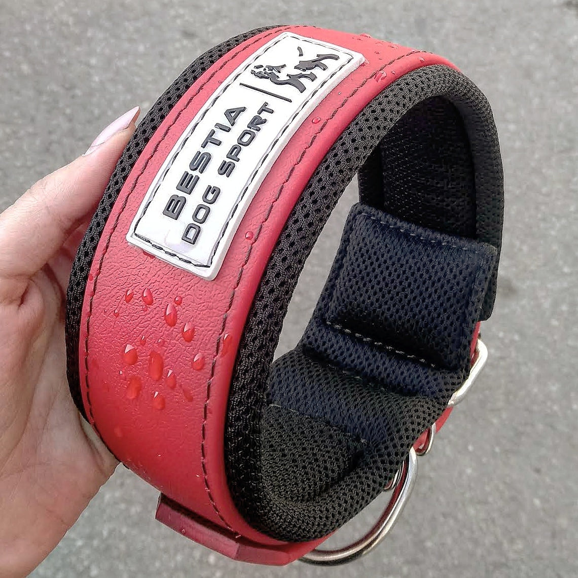 BESTIA DOG SPORT COLLAR RED-1